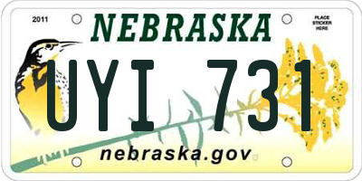 NE license plate UYI731