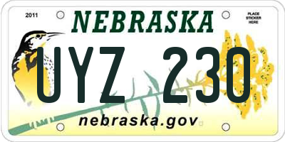 NE license plate UYZ230