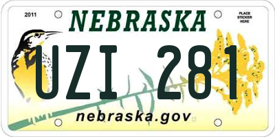 NE license plate UZI281