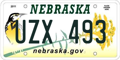NE license plate UZX493