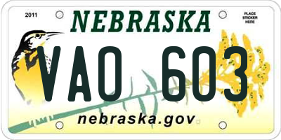 NE license plate VAO603
