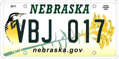 NE license plate VBJ017