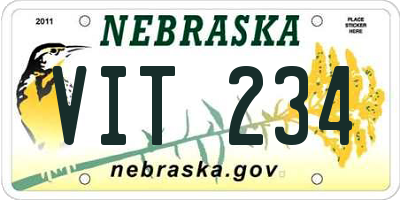 NE license plate VIT234