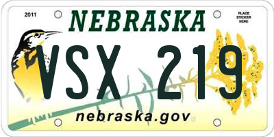 NE license plate VSX219