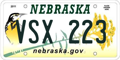 NE license plate VSX223