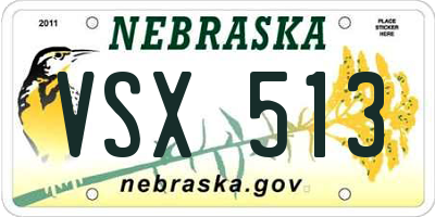 NE license plate VSX513