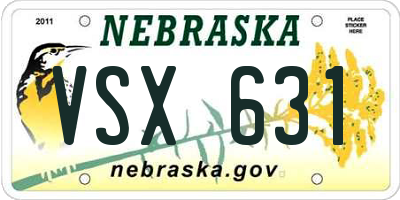 NE license plate VSX631