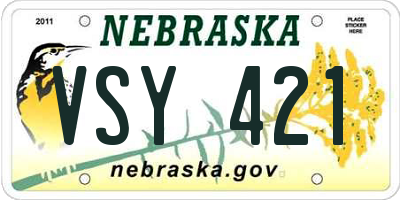 NE license plate VSY421