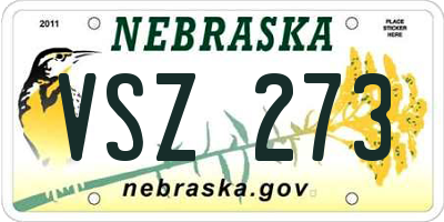 NE license plate VSZ273
