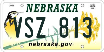 NE license plate VSZ813