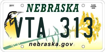 NE license plate VTA313