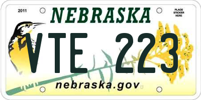NE license plate VTE223