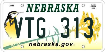 NE license plate VTG313