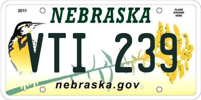 NE license plate VTI239