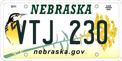 NE license plate VTJ230