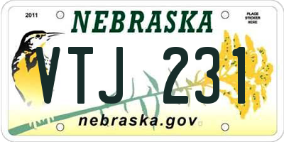 NE license plate VTJ231