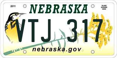 NE license plate VTJ317