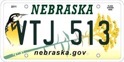 NE license plate VTJ513