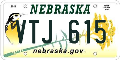 NE license plate VTJ615