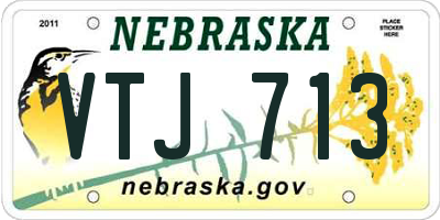 NE license plate VTJ713