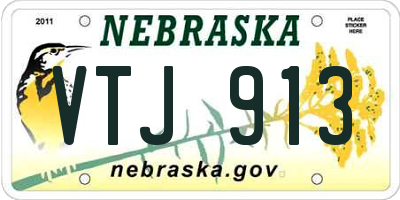 NE license plate VTJ913