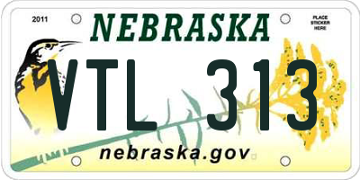 NE license plate VTL313