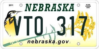 NE license plate VTO317