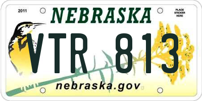 NE license plate VTR813