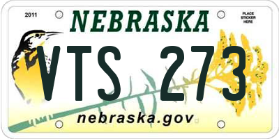 NE license plate VTS273