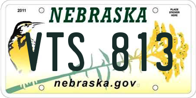 NE license plate VTS813