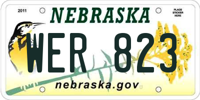 NE license plate WER823