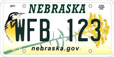NE license plate WFB123