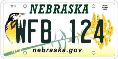 NE license plate WFB124
