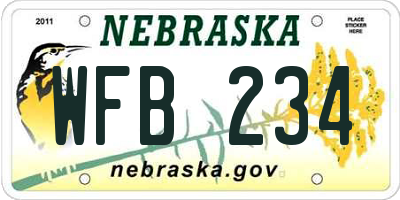 NE license plate WFB234