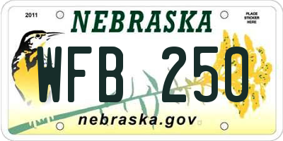 NE license plate WFB250