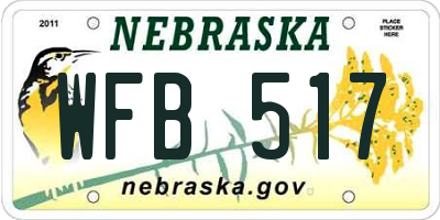 NE license plate WFB517