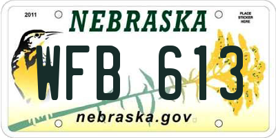NE license plate WFB613