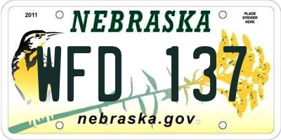 NE license plate WFD137