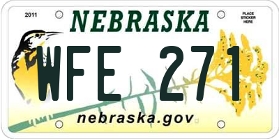 NE license plate WFE271