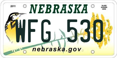 NE license plate WFG530