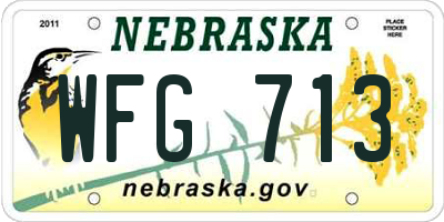 NE license plate WFG713