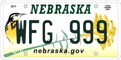 NE license plate WFG999