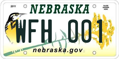 NE license plate WFH001
