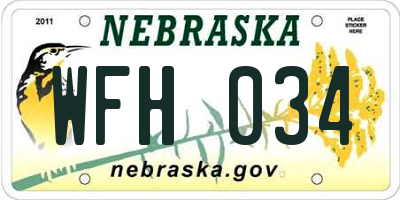 NE license plate WFH034