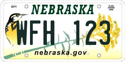NE license plate WFH123