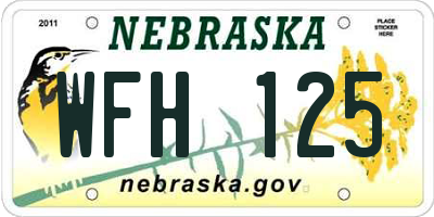 NE license plate WFH125