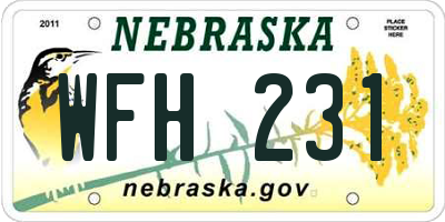 NE license plate WFH231