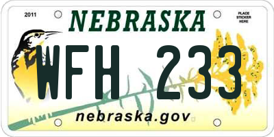 NE license plate WFH233