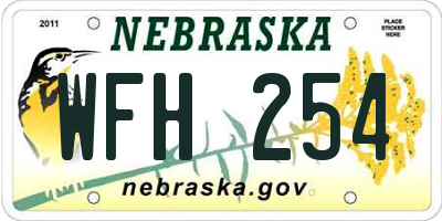 NE license plate WFH254
