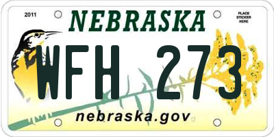 NE license plate WFH273